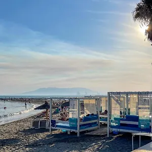 https://walking-to-the-beach-of-palo-and-pegregalejo.es-andalucia.com